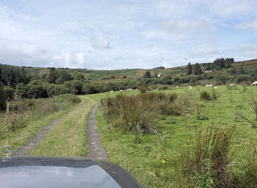 Lands, Co. Leitrim, 15197, Tawnylea, N41E894