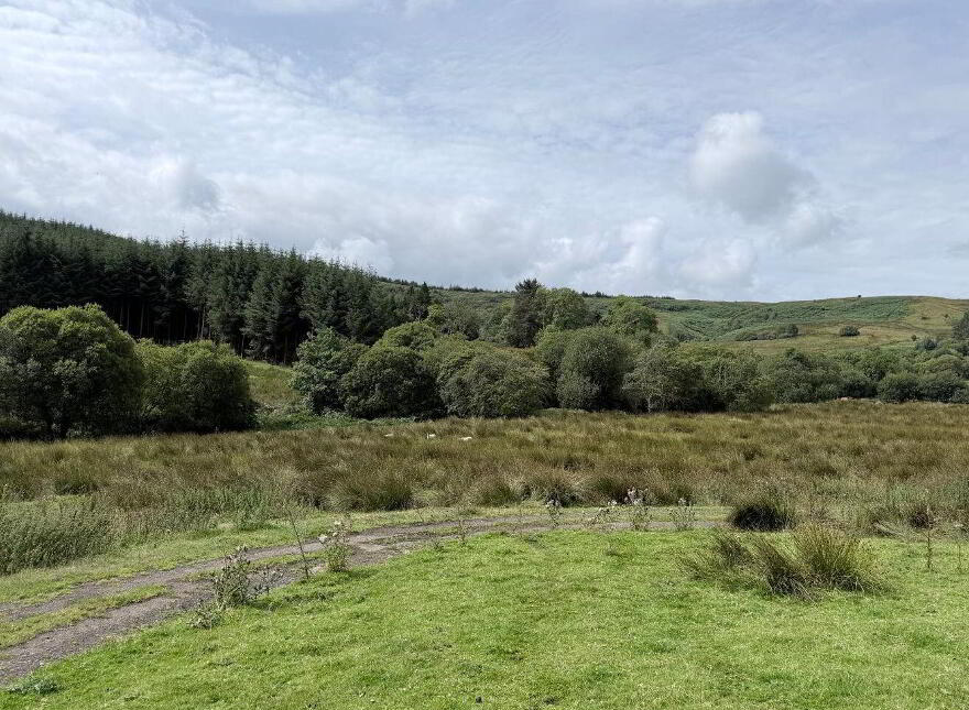 Lands, Co. Leitrim, 15197, Tawnylea, N41E894