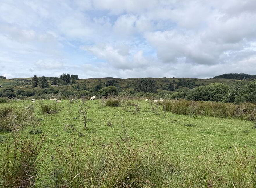 Lands, Co. Leitrim, 15197, Tawnylea, N41E894
