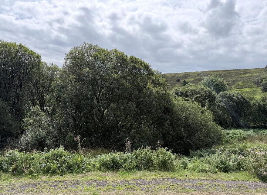 Lands, Co. Leitrim, 15197, Tawnylea, N41E894