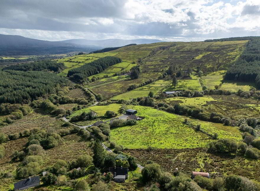 Lands, Co. Leitrim, 15197, Tawnylea, N41E894
