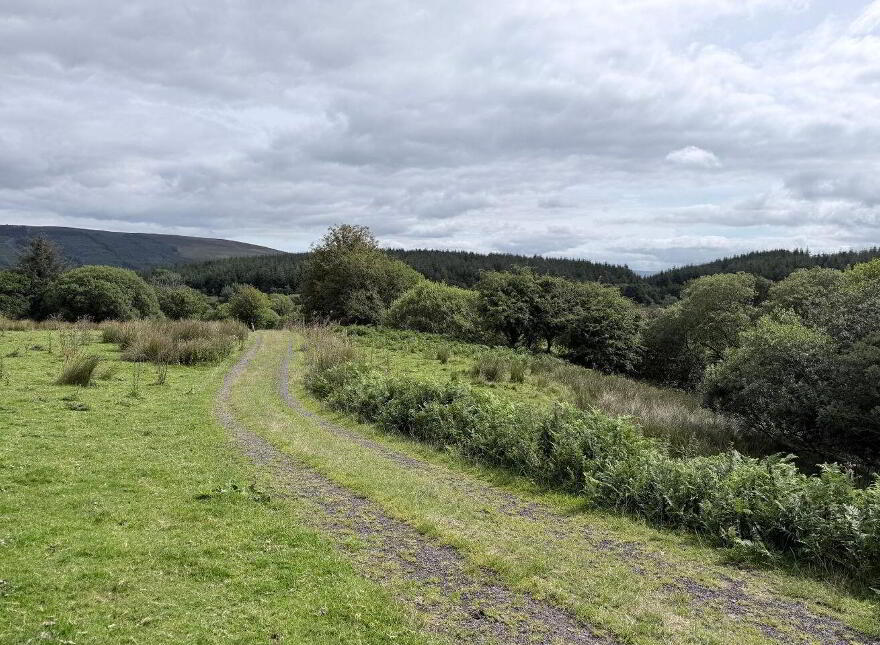 Lands, Co. Leitrim, 15197, Tawnylea, N41E894