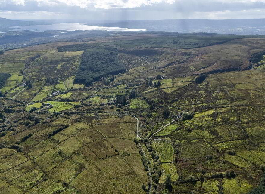 Lands, Co. Leitrim, 15197, Tawnylea, N41E894