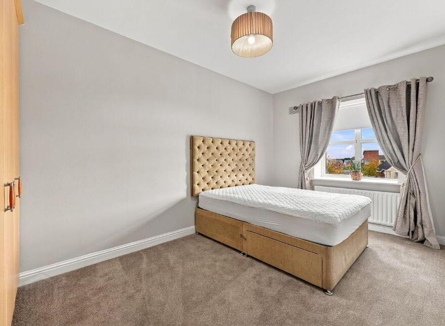 51 Boroimhe Beech, Swords, K67Y497