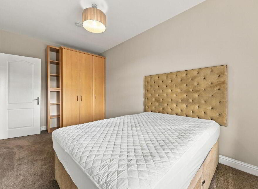 51 Boroimhe Beech, Swords, K67Y497