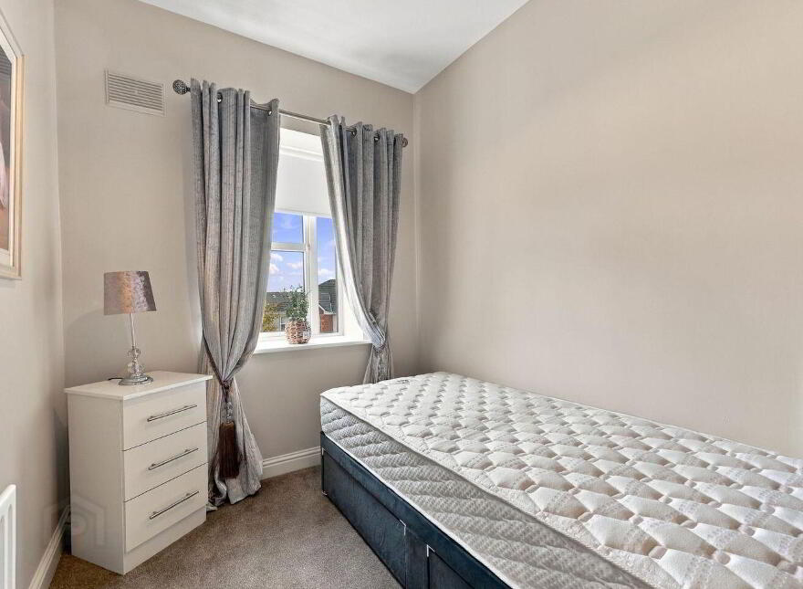 51 Boroimhe Beech, Swords, K67Y497