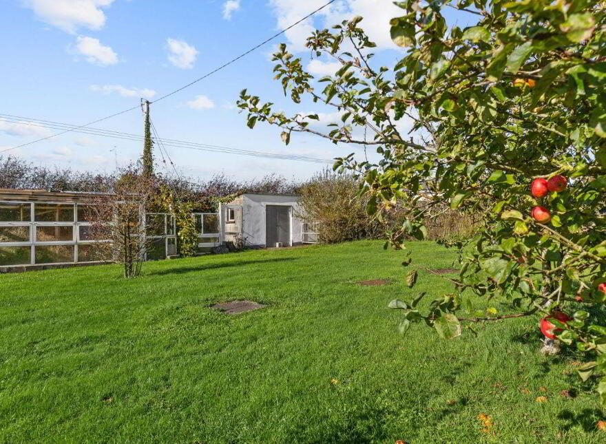 Ballycleary, Kilmore, Y35WK16