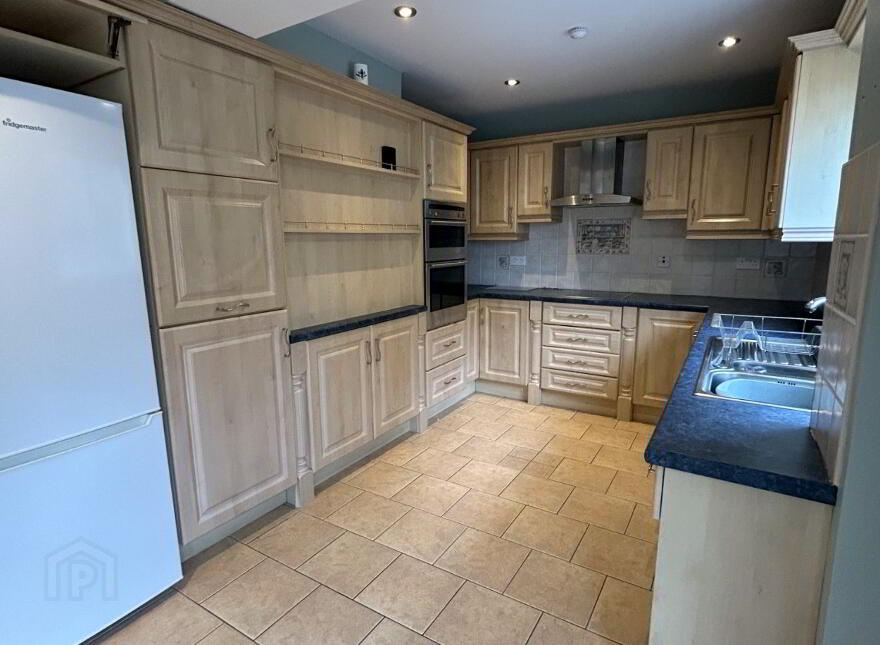 20 Winters Gardens, Omagh, BT79 0DZ
