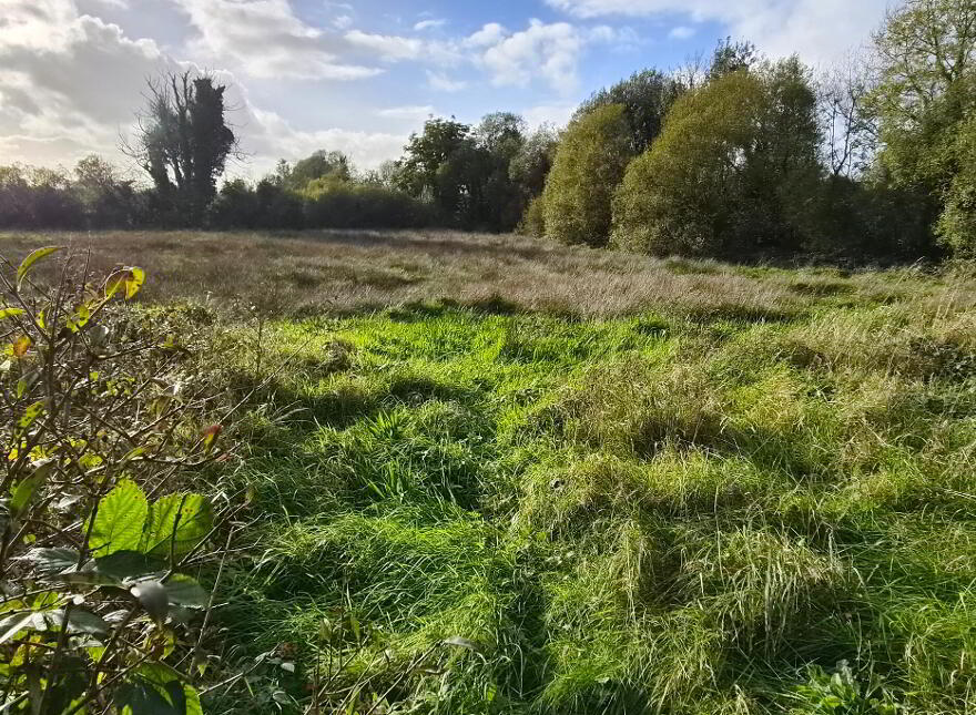 Effrinagh, Carrick On Shannon
