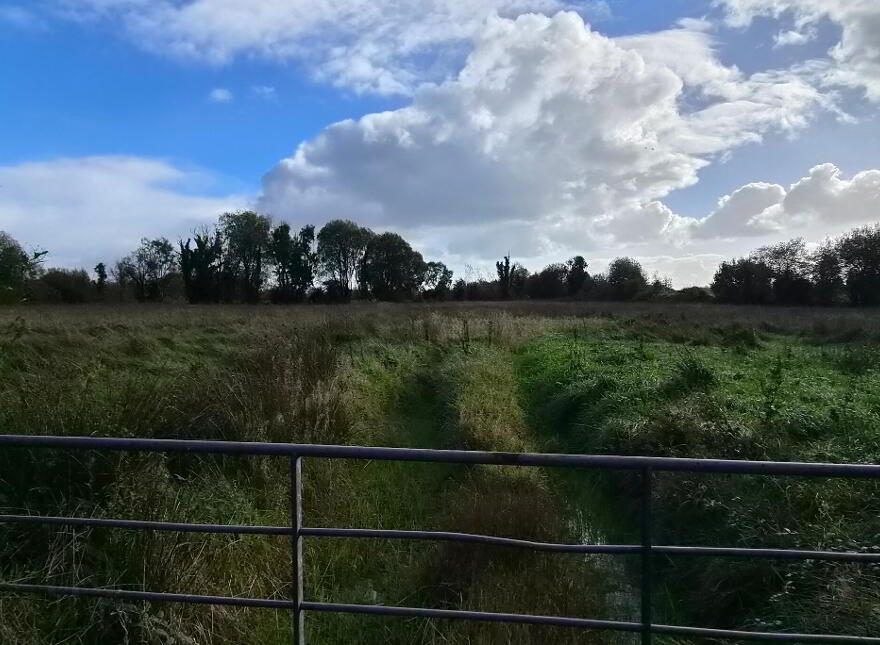 Effrinagh, Carrick On Shannon