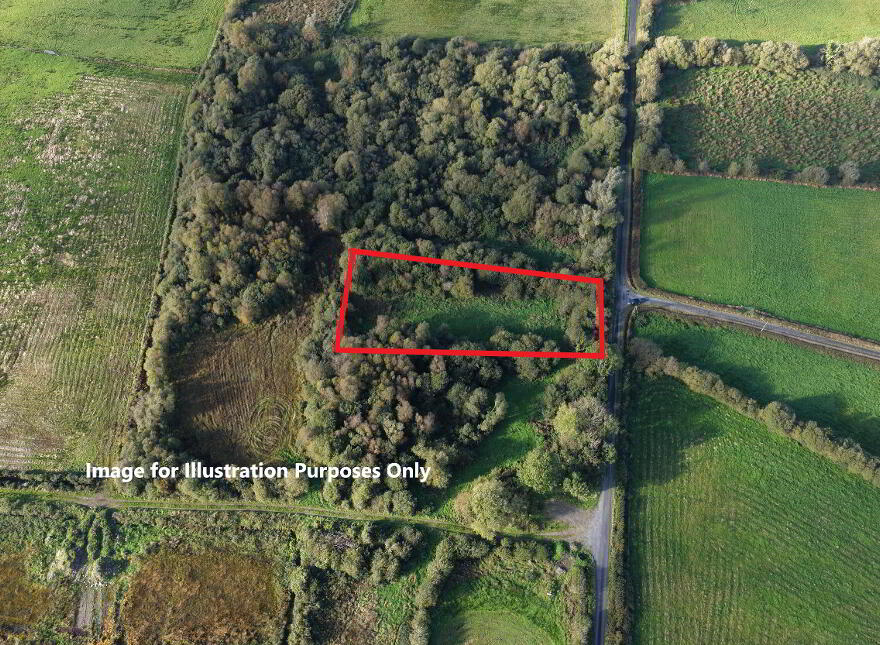 Effrinagh, Carrick On Shannon