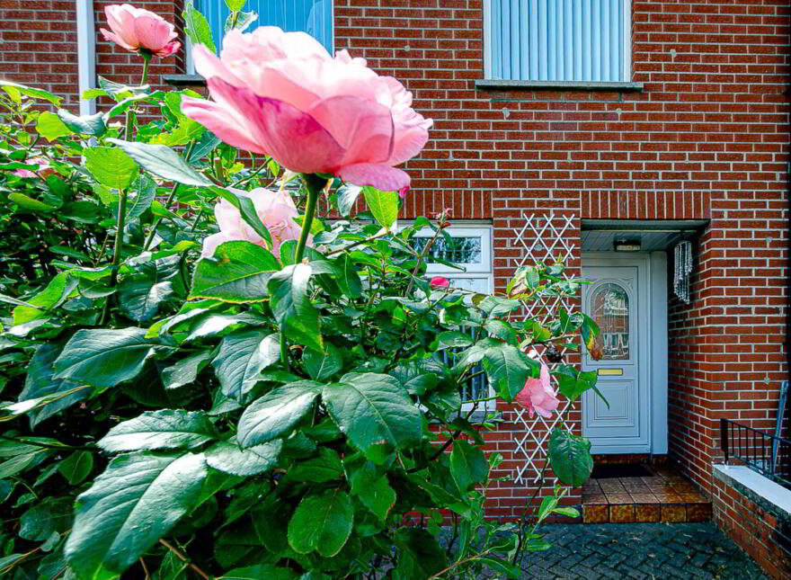 29 Beersbridge Road, Belfast, BT5 4RP