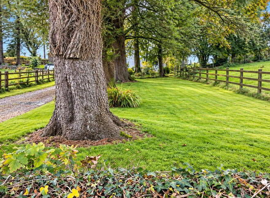 Coogue South, Aghamore, Ballyhaunis, F35XP71