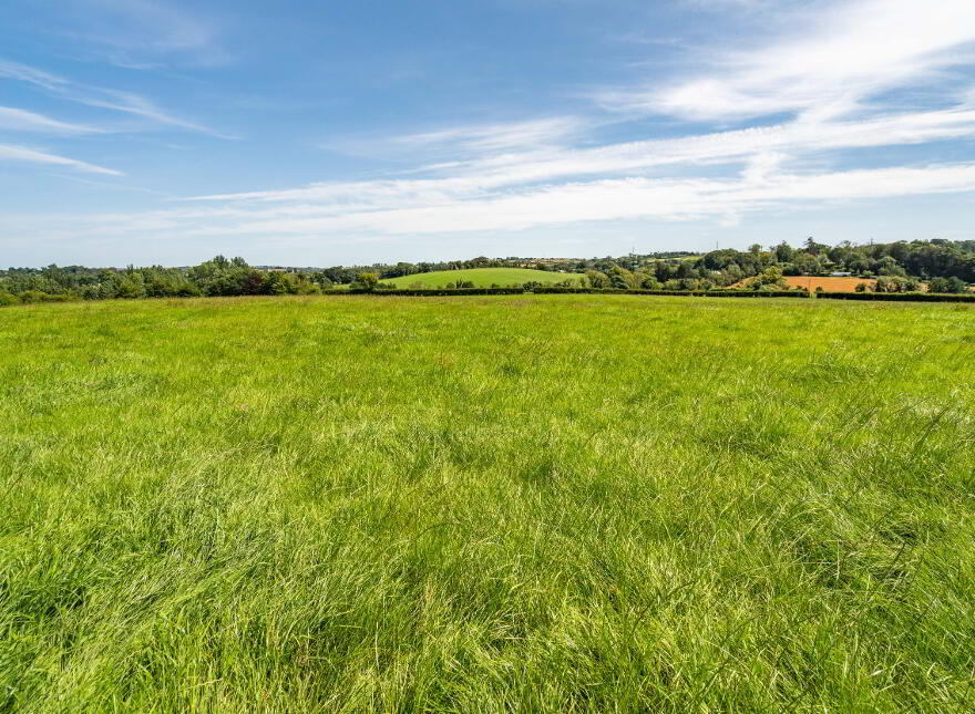 Lot 1 - Ballyowan House & Farm, 44/50 Drumbeg Road, Dunmurry, BT17 9LE