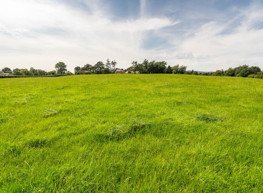 Lot 1 - Ballyowan House & Farm, 44/50 Drumbeg Road, Dunmurry, BT17 9LE