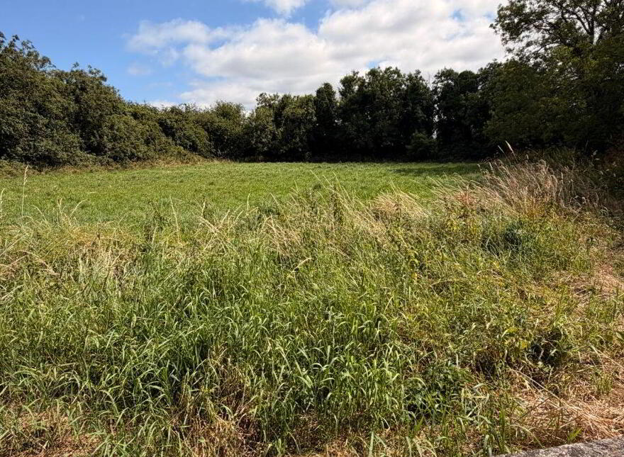 Bryanstown, Slane, C15X761