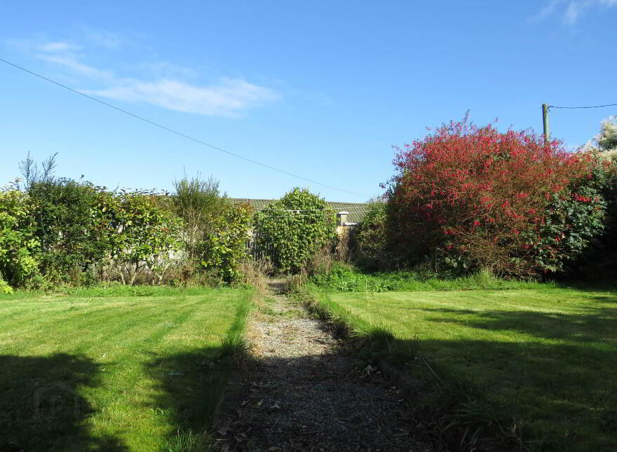 Ballinakill East, Newtownshandrum, Charleville, P56W528