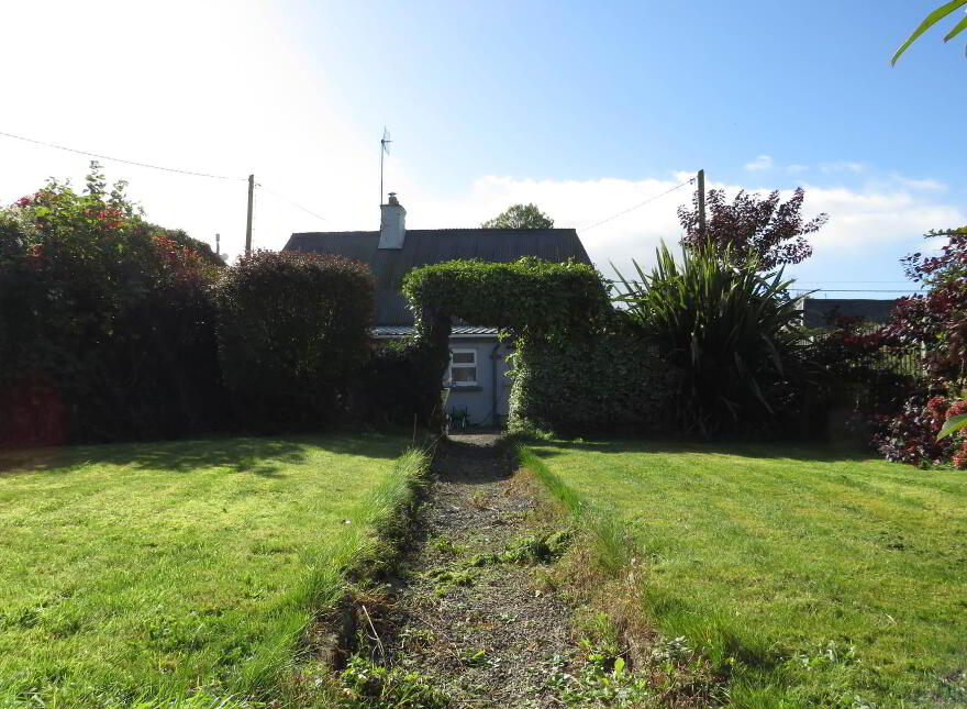 Ballinakill East, Newtownshandrum, Charleville, P56W528