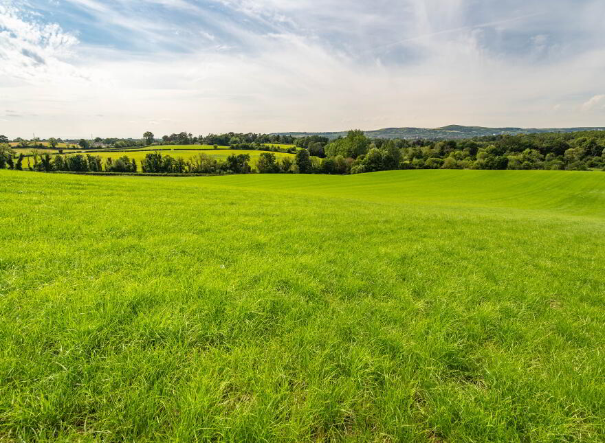 Lot 6, Eastern Land At Ballyowan, Ballylesson Road, BT17 9LE