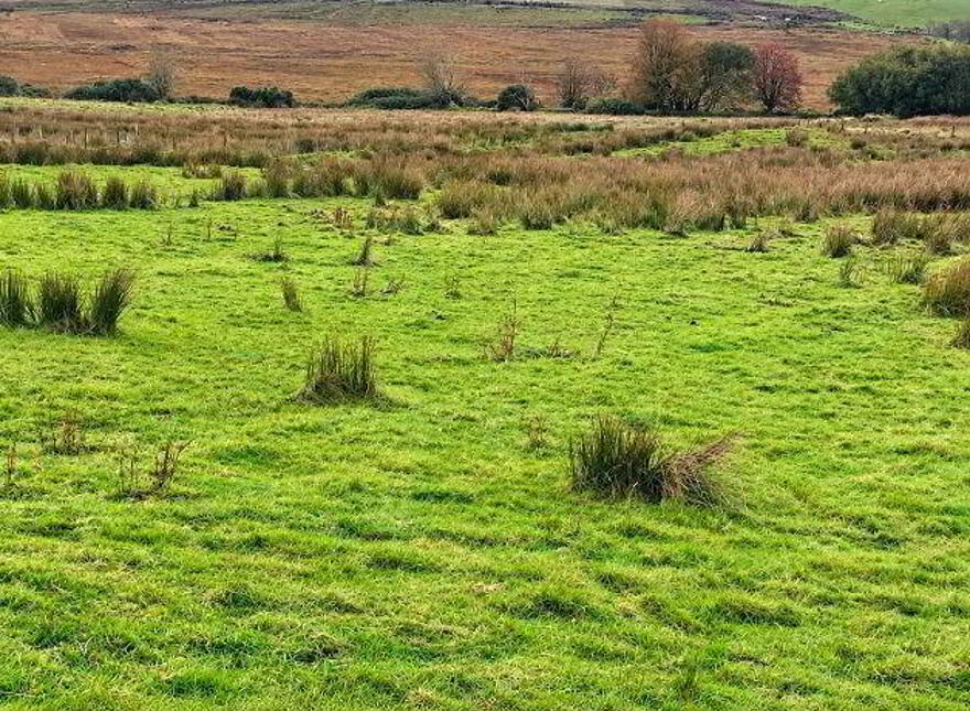 Breenagh, Churchill