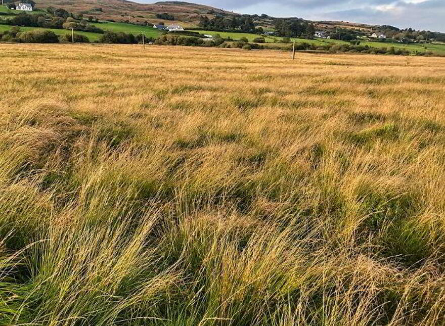 Breenagh, Churchill