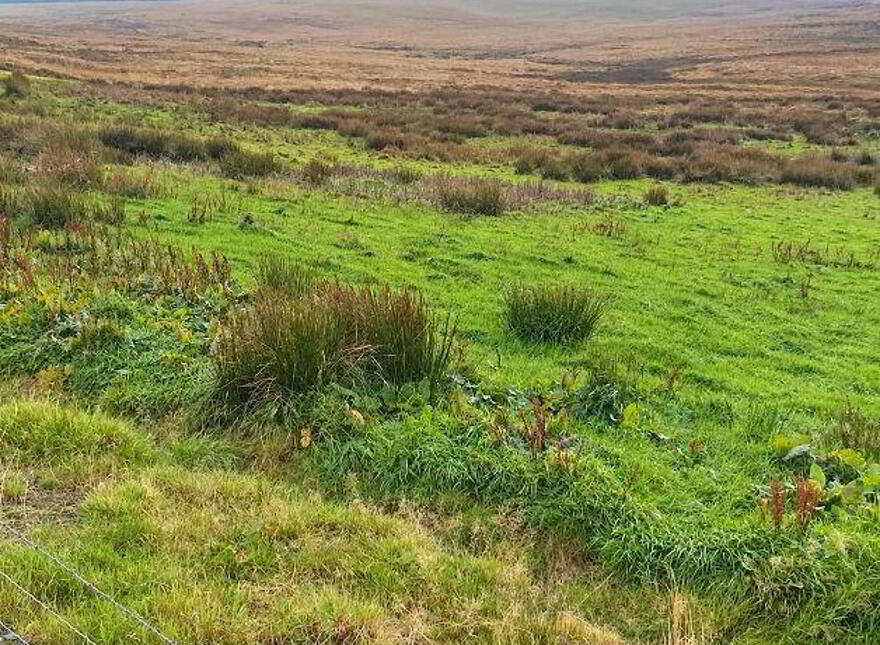 Breenagh, Churchill