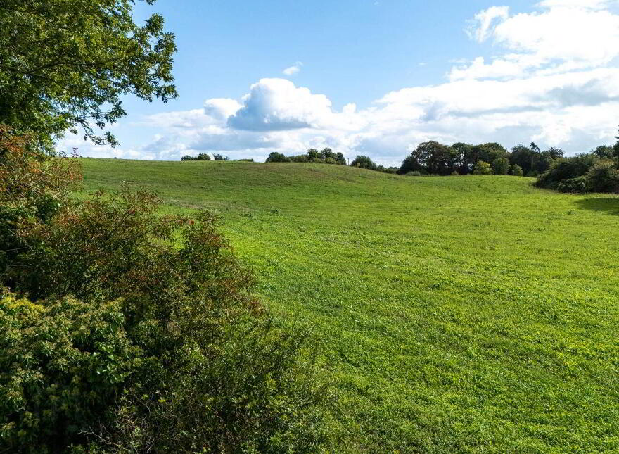 Clonaglin, Kilbeggan