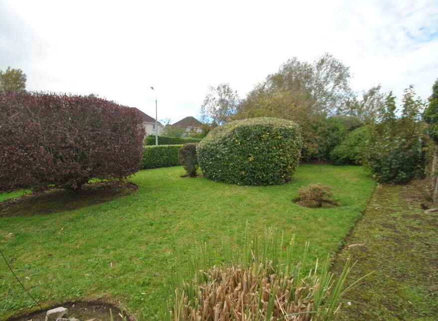 Melrose, Carrick, Parkmore, Roscrea, E53T007