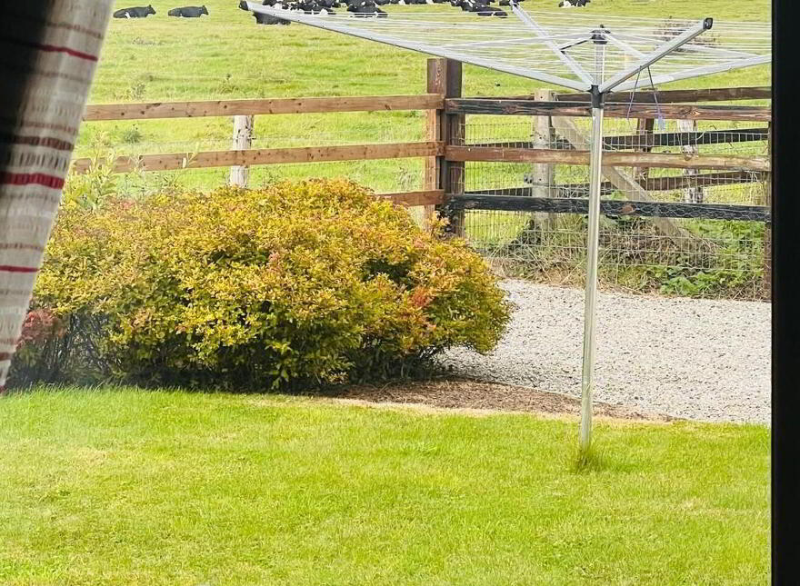 Grange, Lorrha, Nenagh, E45EE92