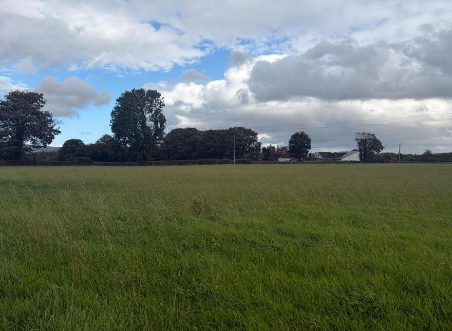 Ballinorig West, Tralee, Tralee