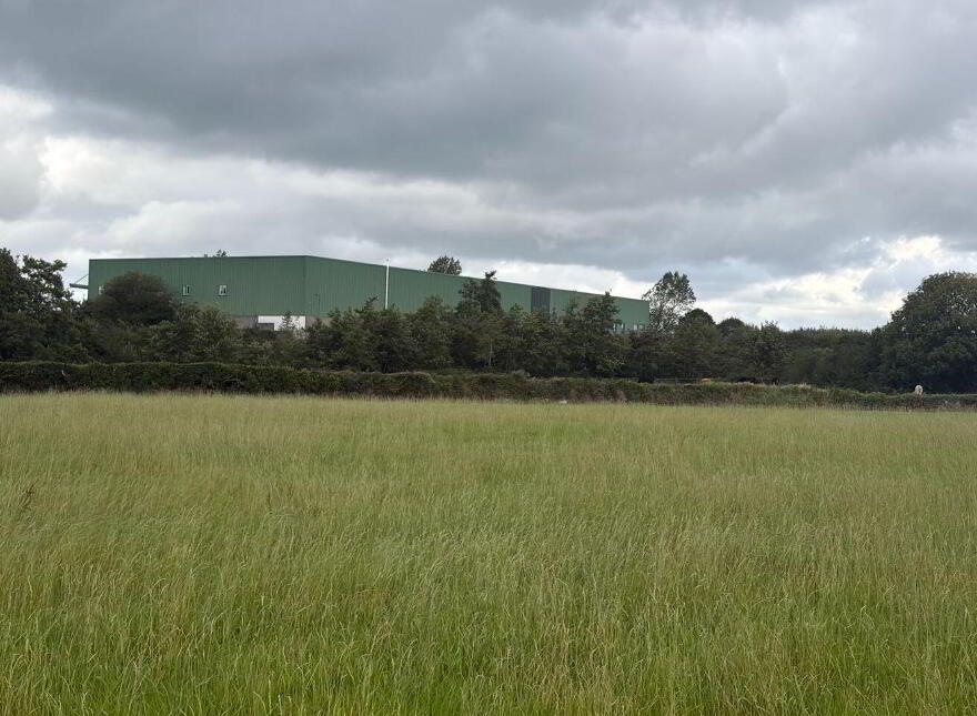 Ballinorig West, Tralee, Tralee