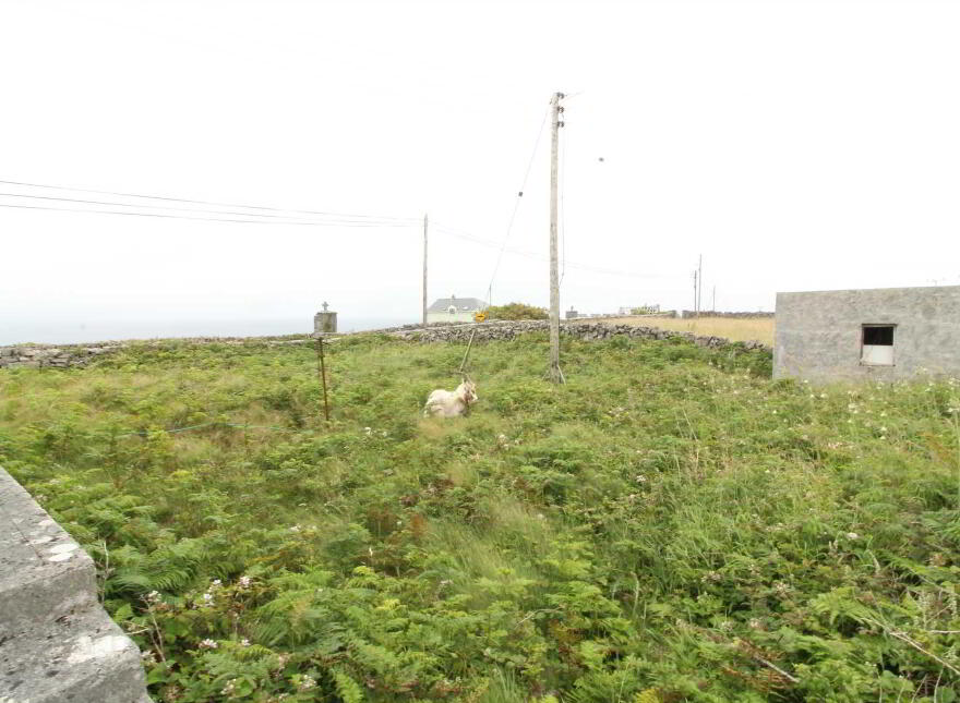 Oghill, Kilronan, H91NT3Y