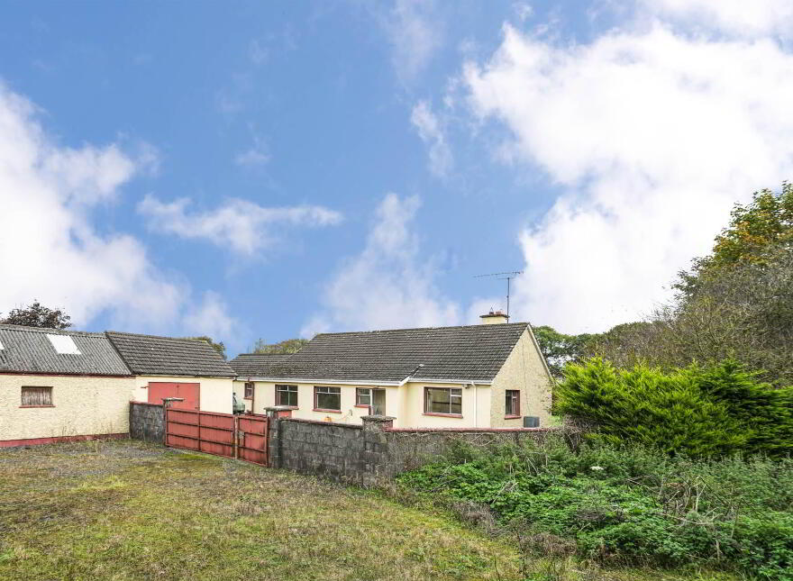 Archerstown, Delvin, N91WP20
