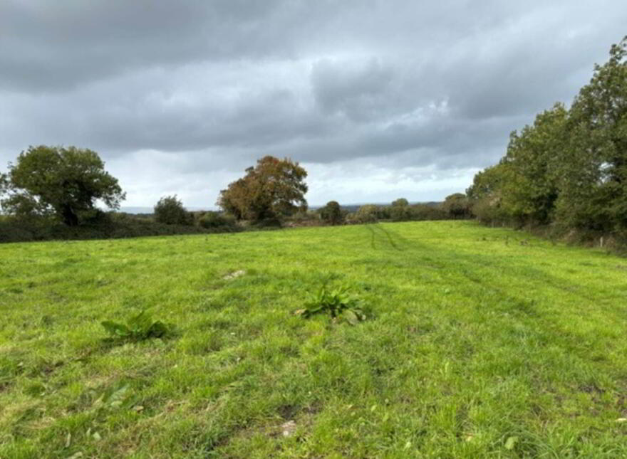 35.3 Acres (, 14.28 Ha) To Let, Gurteenakilla, Newtown, Nenagh, E45RH58