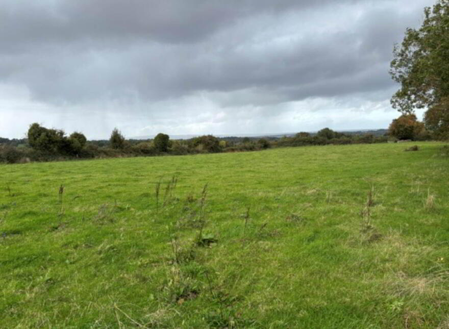 35.3 Acres (, 14.28 Ha) To Let, Gurteenakilla, Newtown, Nenagh, E45RH58