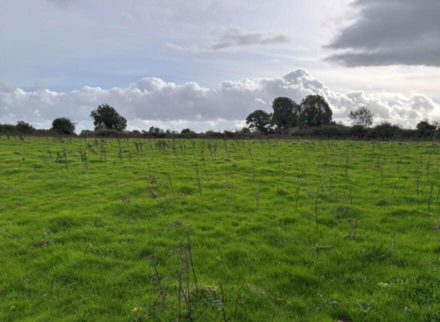 35.3 Acres (, 14.28 Ha) To Let, Gurteenakilla, Newtown, Nenagh, E45RH58