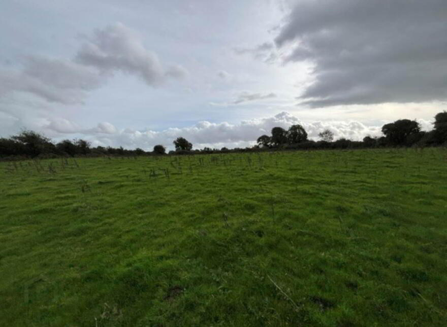 35.3 Acres (, 14.28 Ha) To Let, Gurteenakilla, Newtown, Nenagh, E45RH58