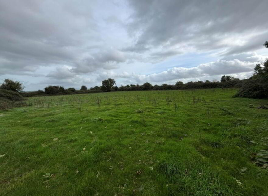 35.3 Acres (, 14.28 Ha) To Let, Gurteenakilla, Newtown, Nenagh, E45RH58