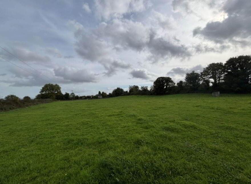 35.3 Acres (, 14.28 Ha) To Let, Gurteenakilla, Newtown, Nenagh, E45RH58