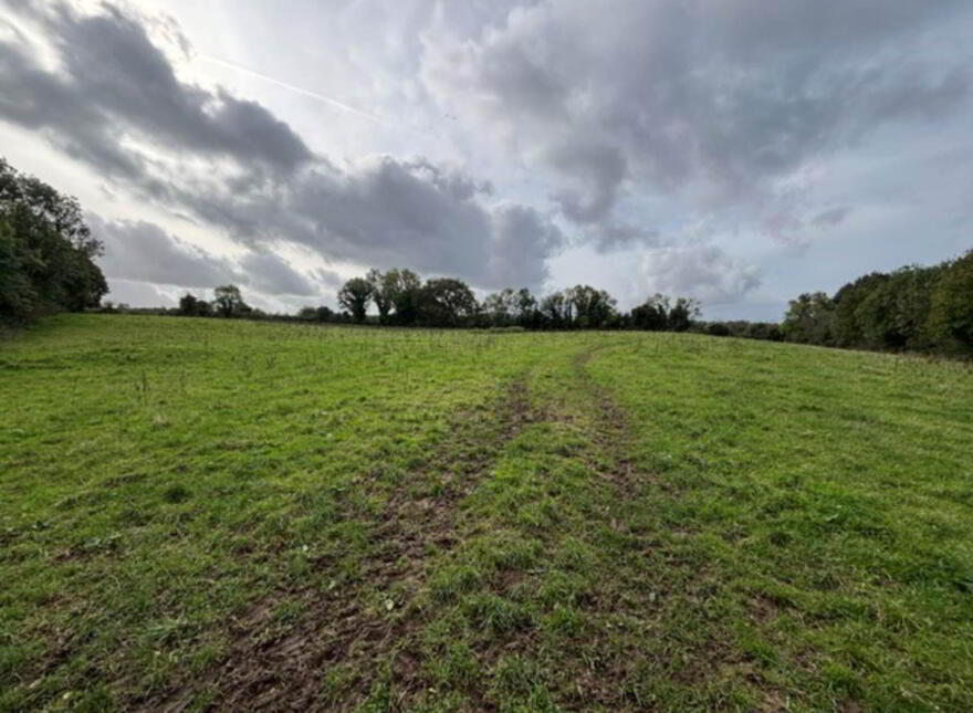 35.3 Acres (, 14.28 Ha) To Let, Gurteenakilla, Newtown, Nenagh, E45RH58