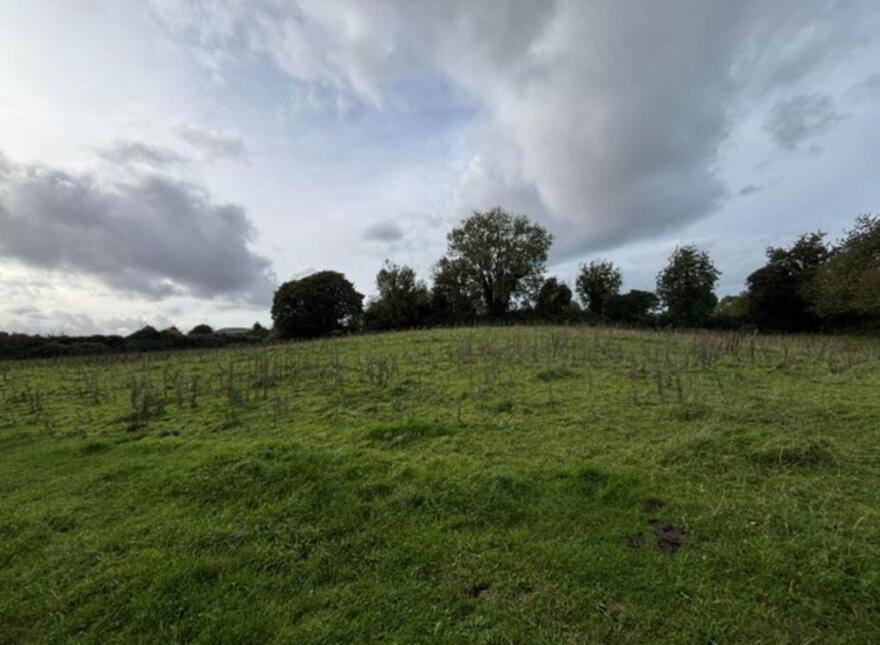 35.3 Acres (, 14.28 Ha) To Let, Gurteenakilla, Newtown, Nenagh, E45RH58