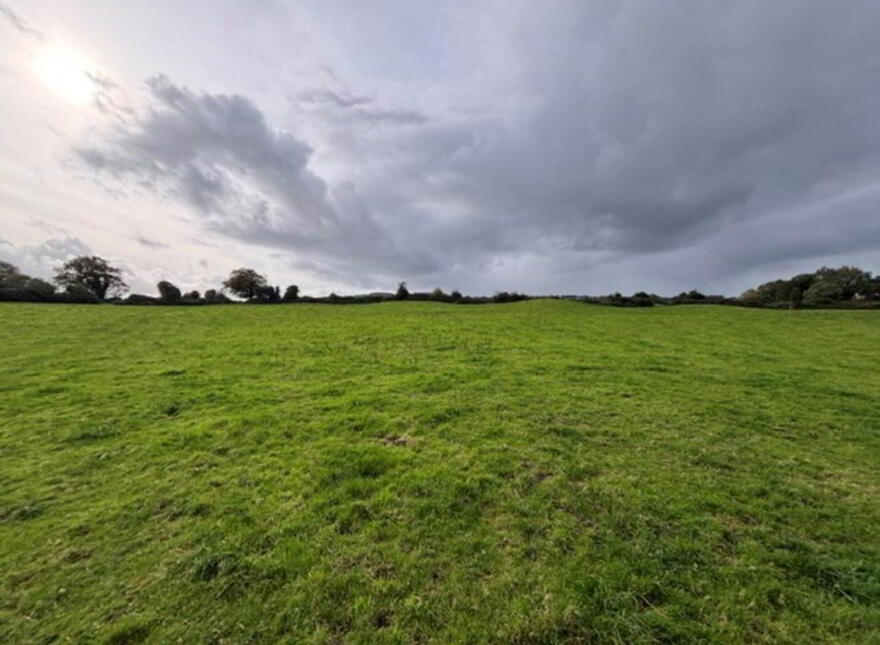 35.3 Acres (, 14.28 Ha) To Let, Gurteenakilla, Newtown, Nenagh, E45RH58