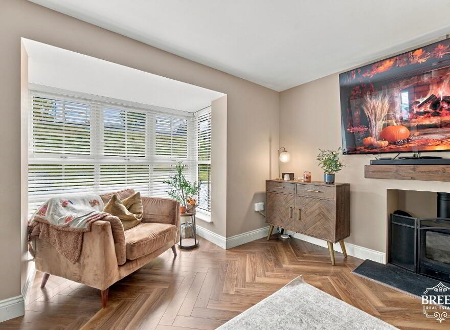 24 Drumman Meadows, Armagh, BT61 9HE photo 2