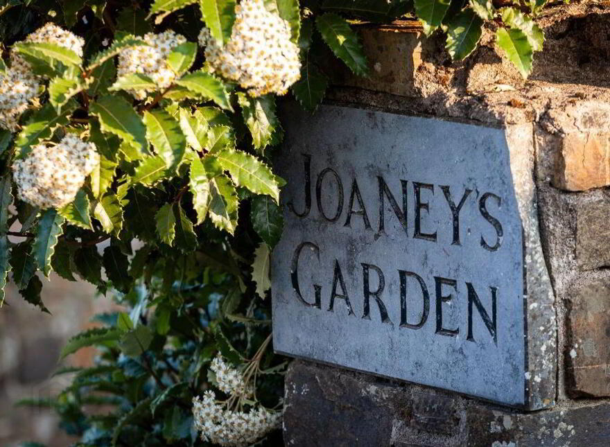 Joaney's Garden, Compass Hill, Kinsale, P17E308