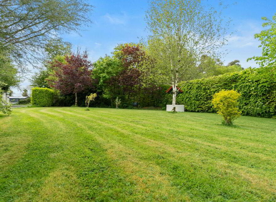 Bellvee, Ballyviniter Upper, Doneraile, P51EFV5
