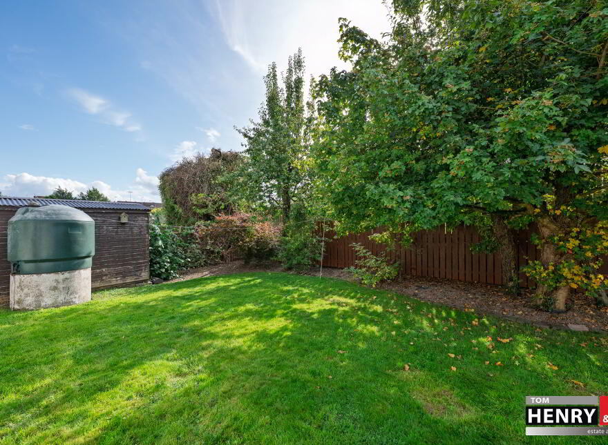 6 Willow Drive, Mullaghmore Road, Dungannon, BT70 1XE
