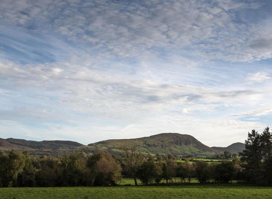 Curraghmore, Bofeenaun, F26C2N1