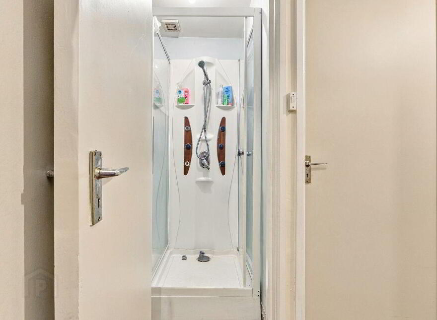 19 Mount Carmel, Newbridge, W12DK29