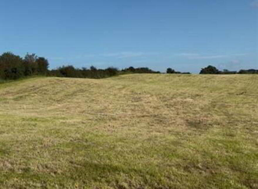 Site Adjacent To, 21 Myra Road, Downpatrick, BT30 7JY photo