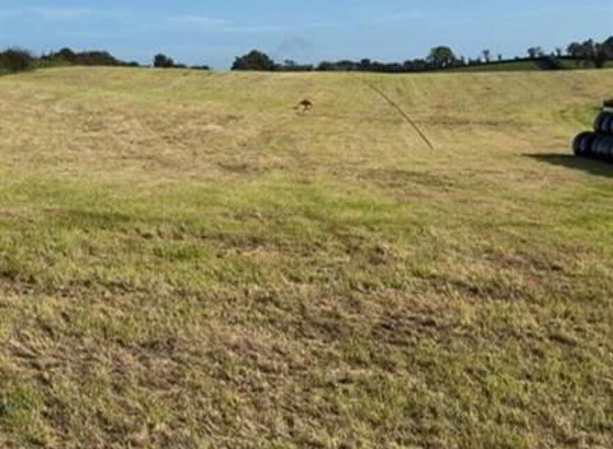 Site Adjacent To, 21 Myra Road, Downpatrick, BT30 7JY